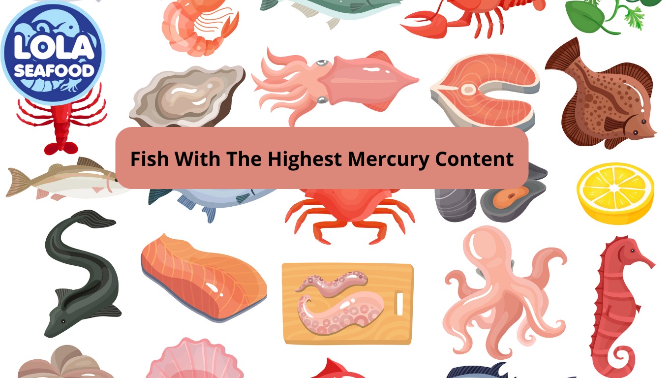 Fish With The Highest Mercury Content